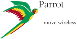 parrot parrot